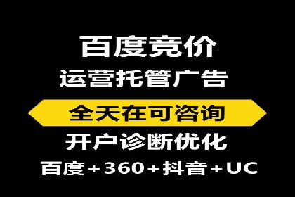 行业案例研究：SEM竞价托管的策略与挑战